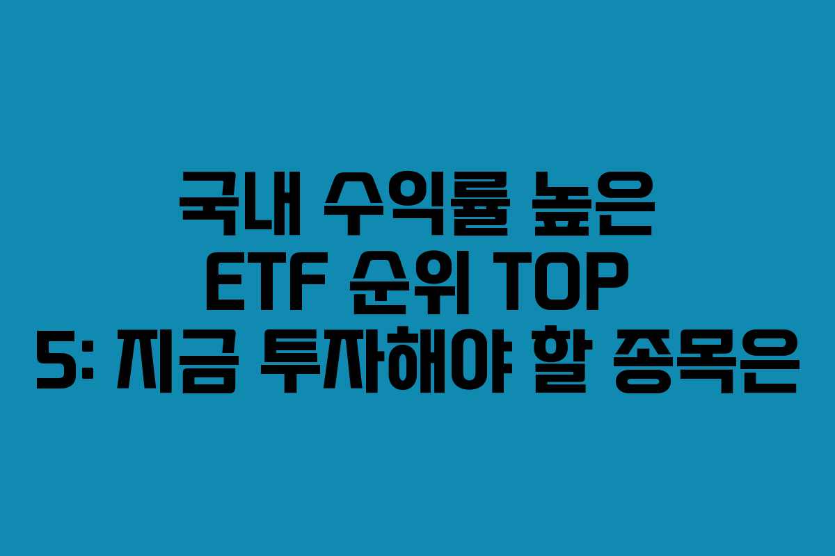 국내 수익률 높은 ETF 순위 TOP 5: 지금 투자해야 할 종목은