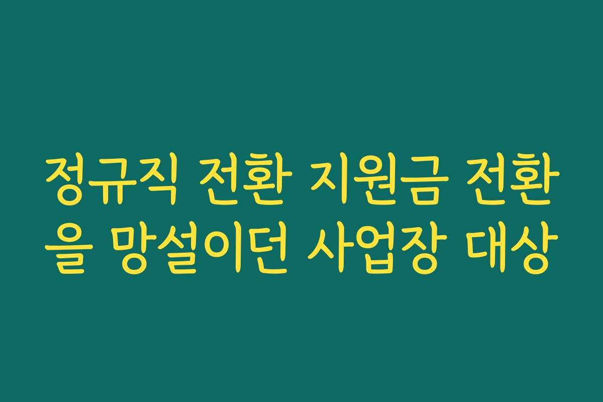 정규직 전환 지원금 전환을 망설이던 사업장 대상