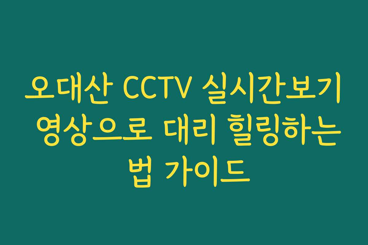 오대산 CCTV 실시간보기 영상으로 대리 힐링하는 법 가이드