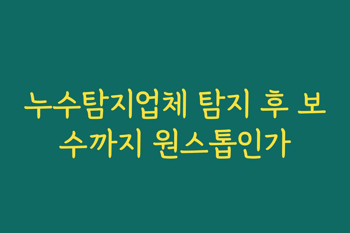 누수탐지업체 탐지 후 보수까지 원스톱인가