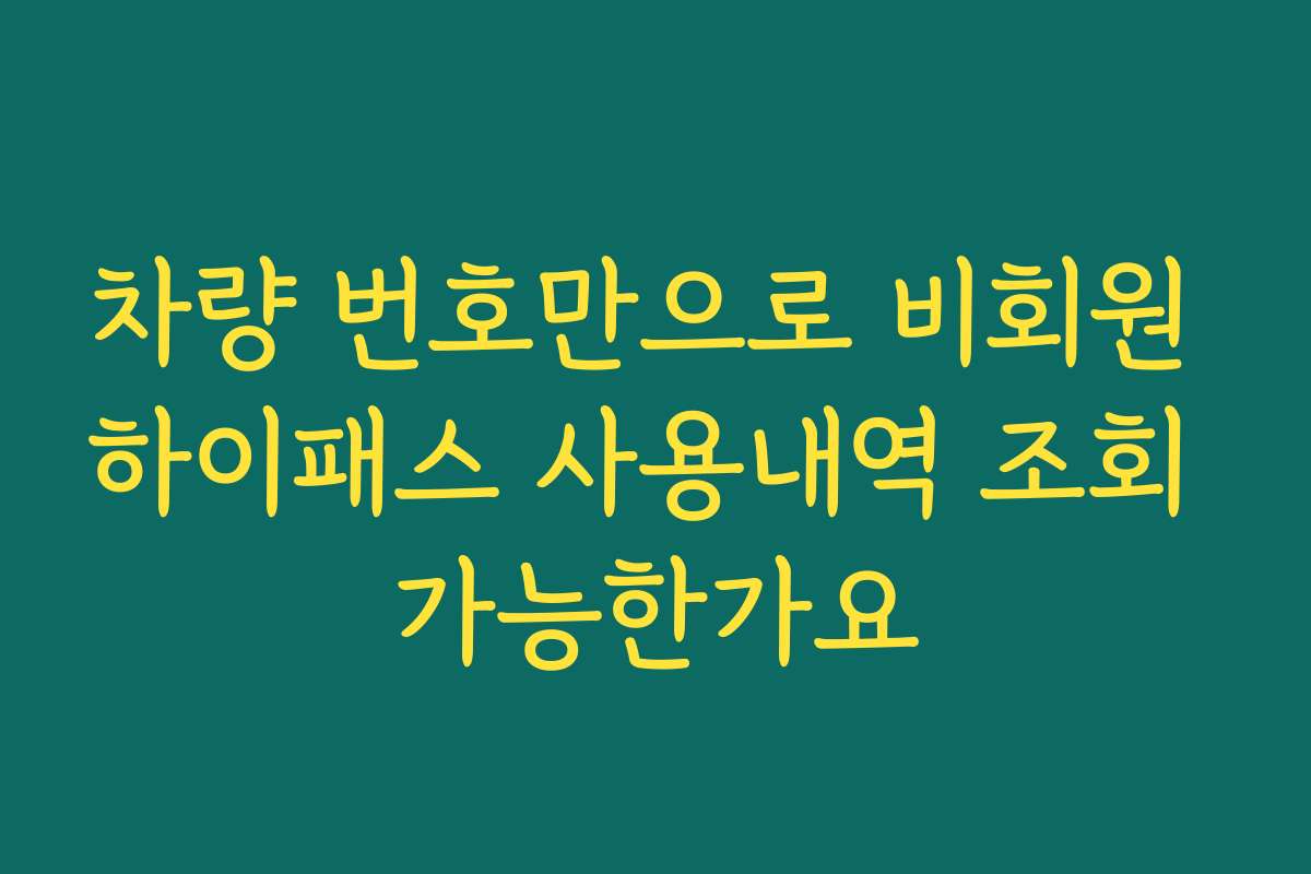 차량 번호만으로 비회원 하이패스 사용내역 조회 가능한가요