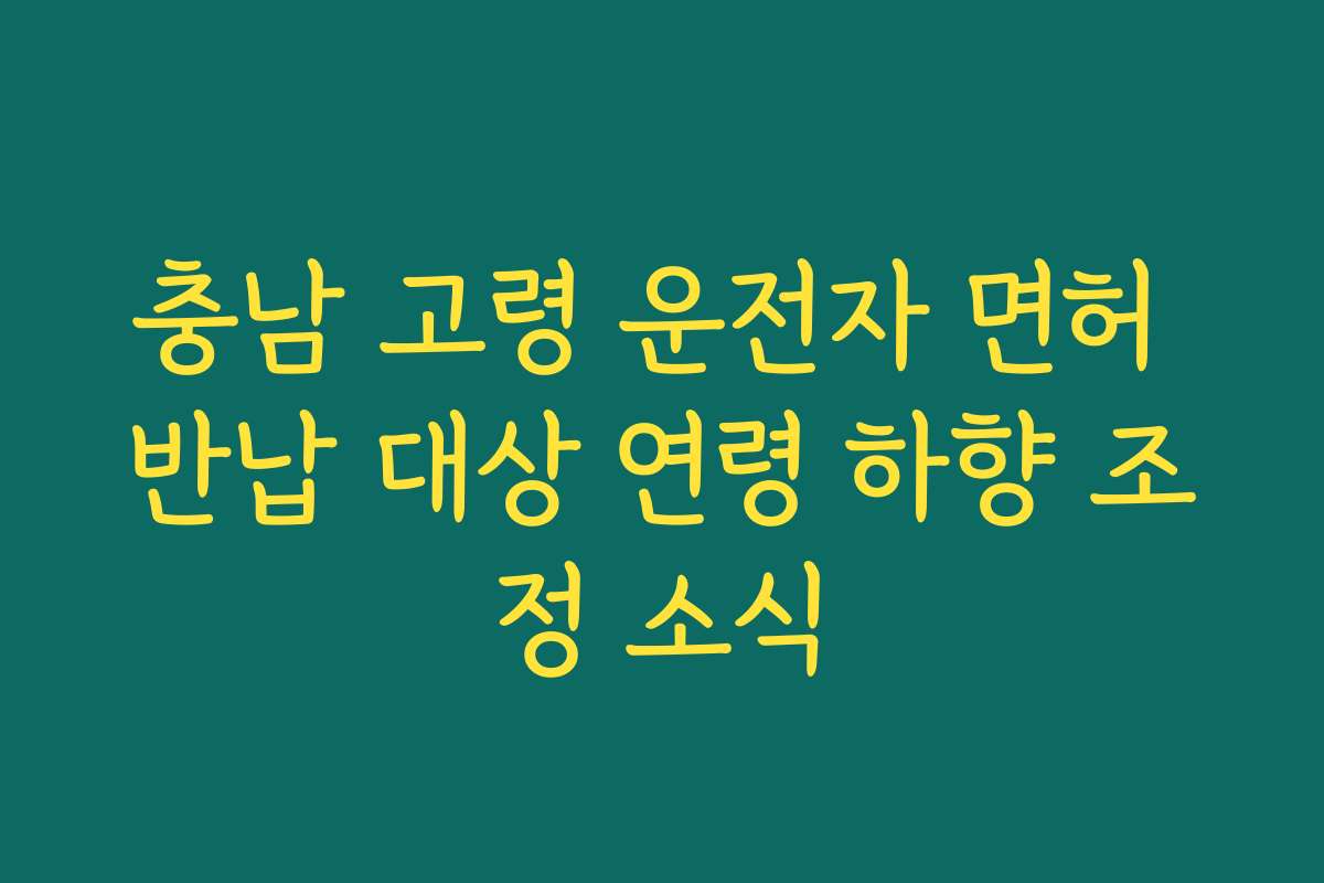 충남 고령 운전자 면허 반납 대상 연령 하향 조정 소식