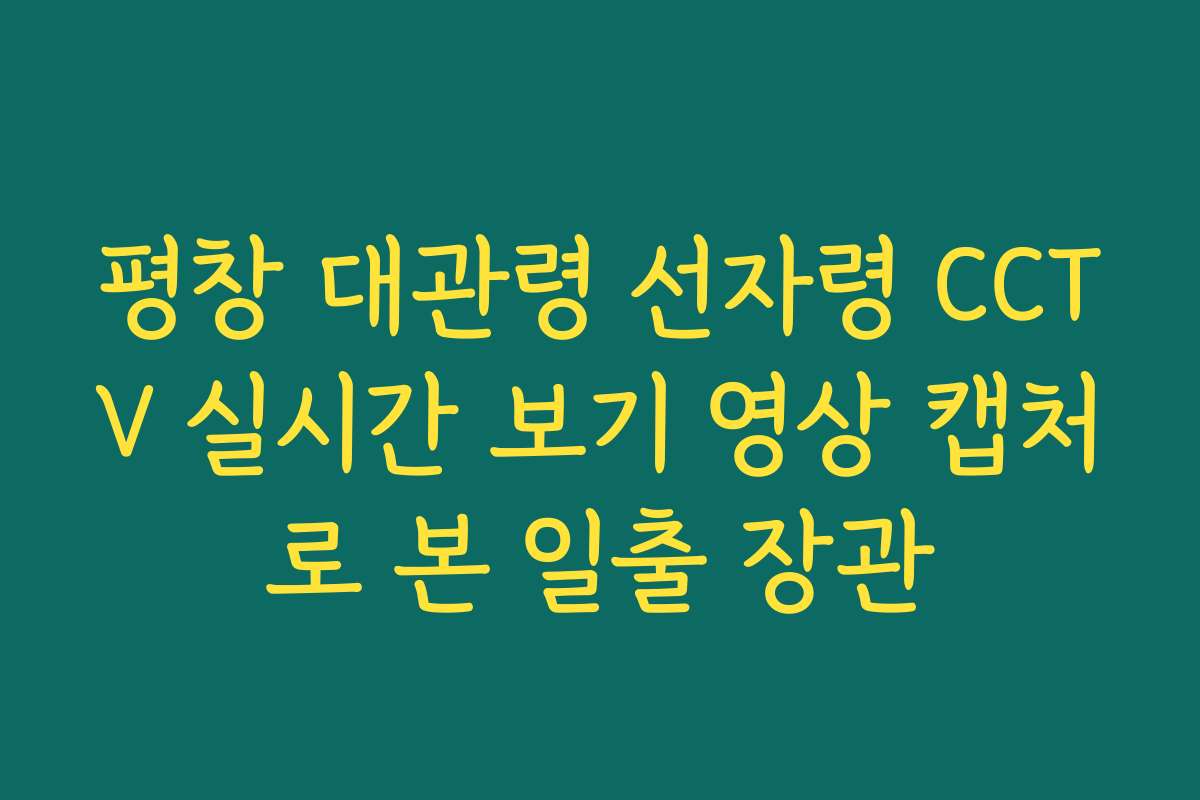 평창 대관령 선자령 CCTV 실시간 보기 영상 캡처로 본 일출 장관