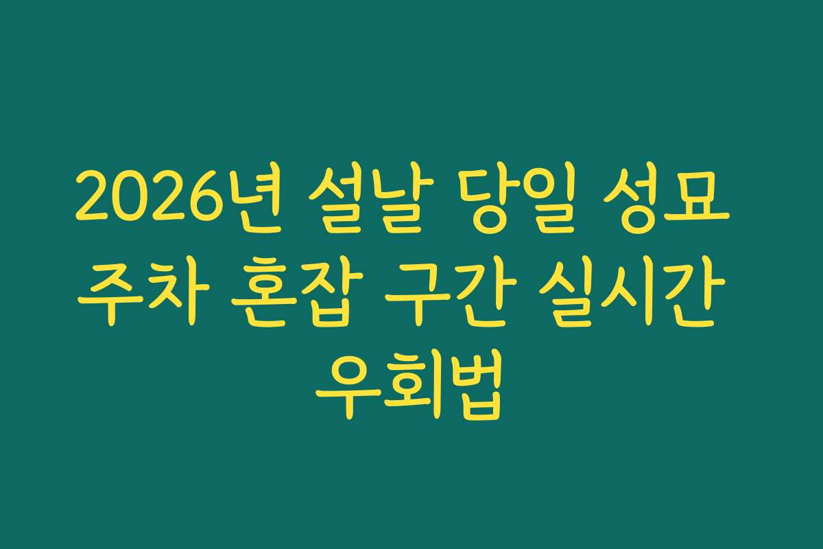 2026년 설날 당일 성묘 주차 혼잡 구간 실시간 우회법