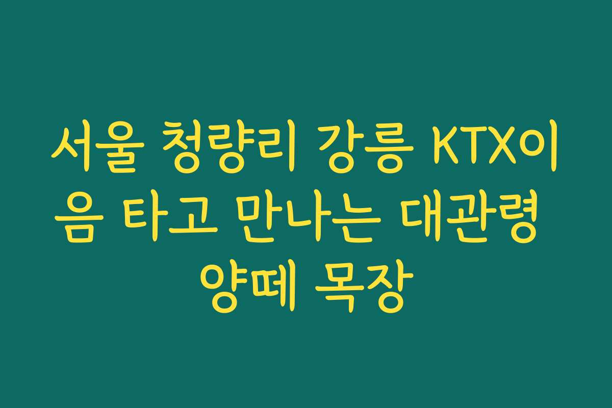 서울 청량리 강릉 KTX이음 타고 만나는 대관령 양떼 목장
