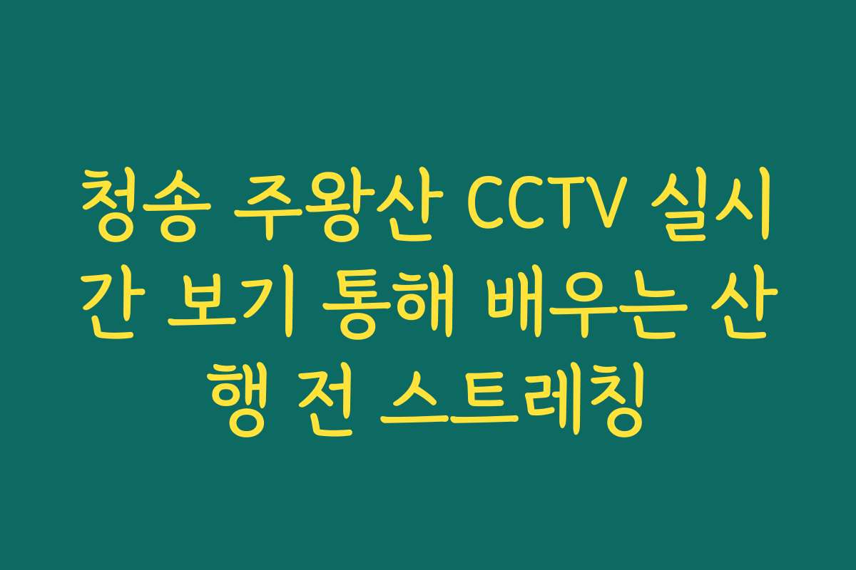 청송 주왕산 CCTV 실시간 보기 통해 배우는 산행 전 스트레칭