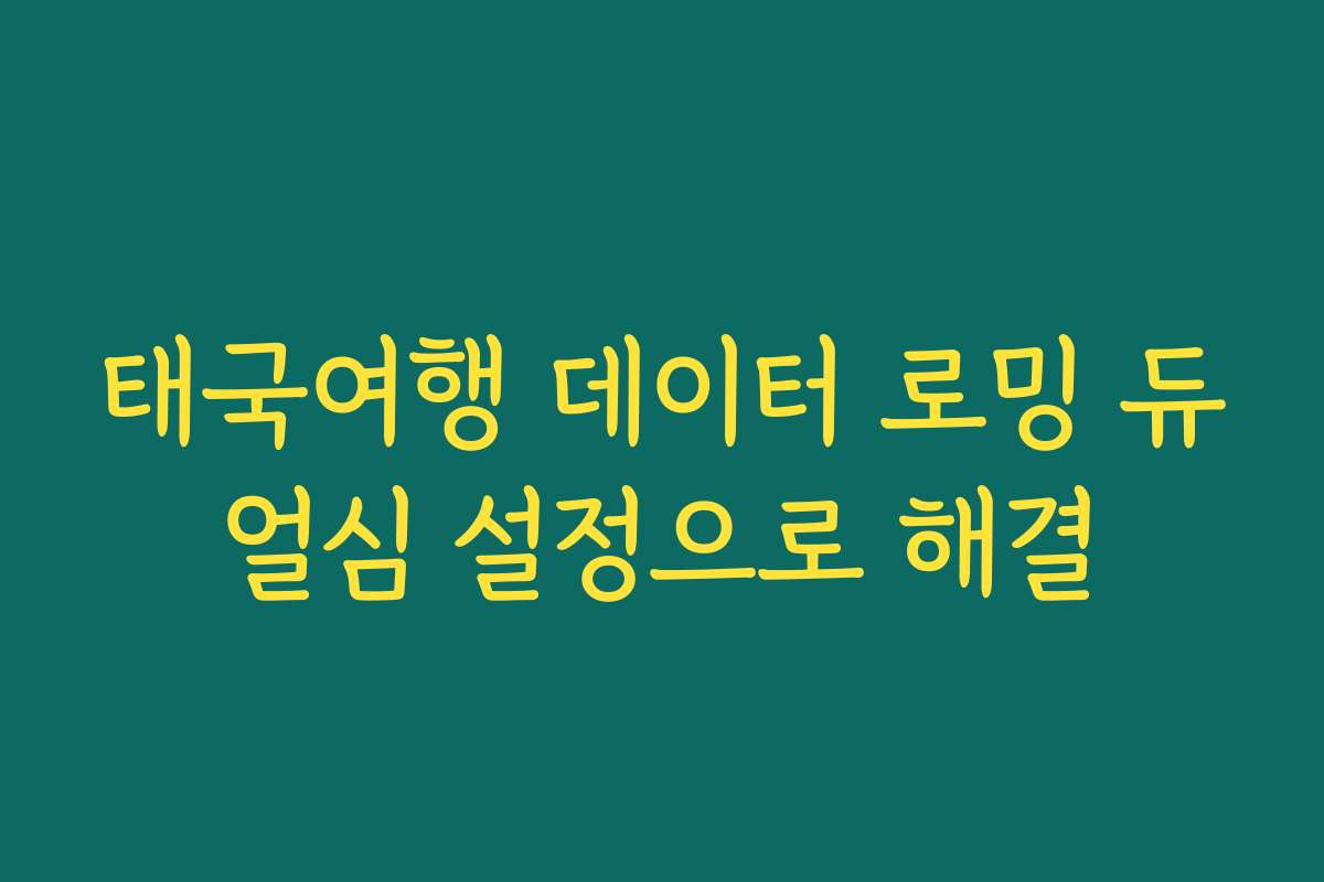 태국여행 데이터 로밍 듀얼심 설정으로 해결