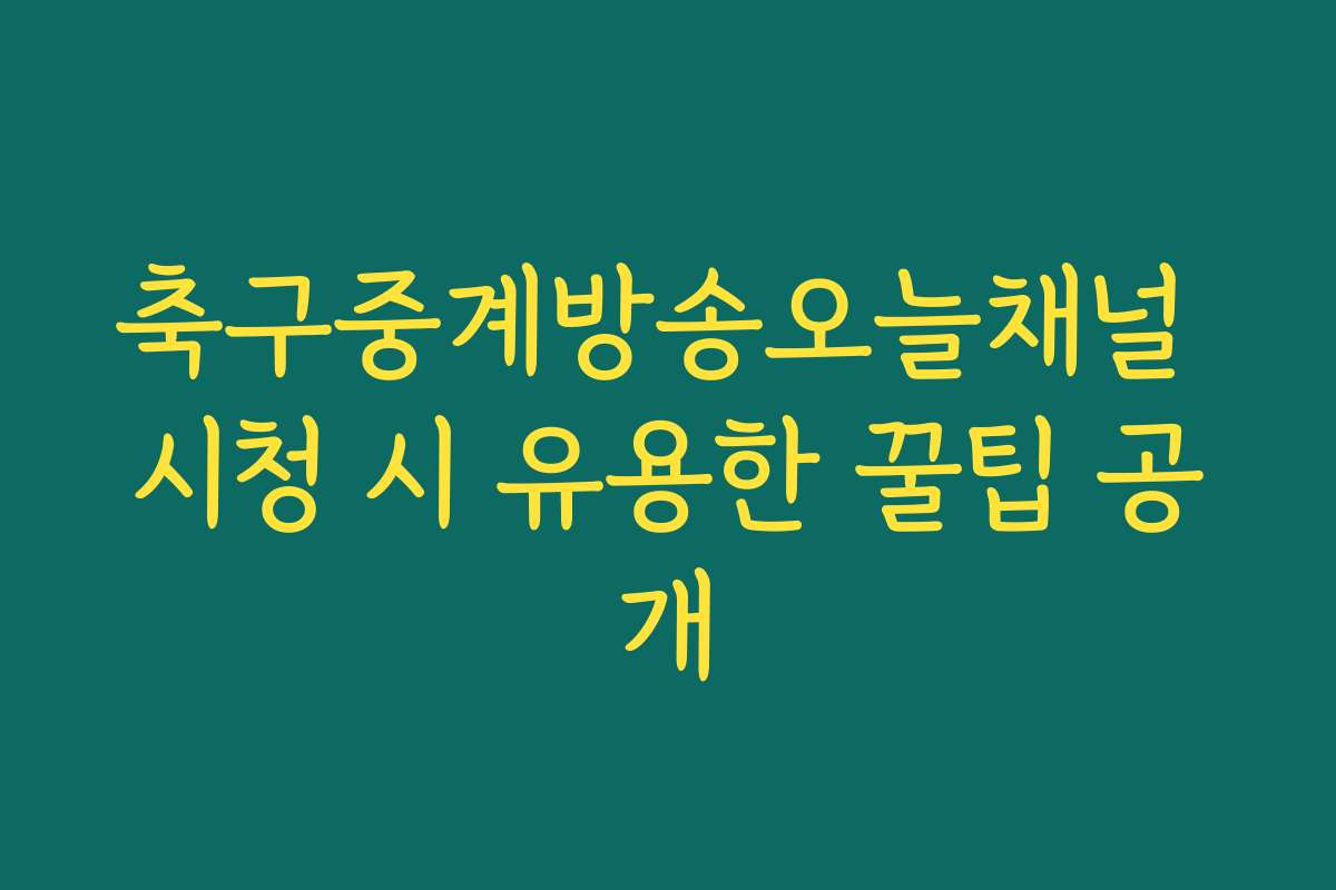 축구중계방송오늘채널 시청 시 유용한 꿀팁 공개