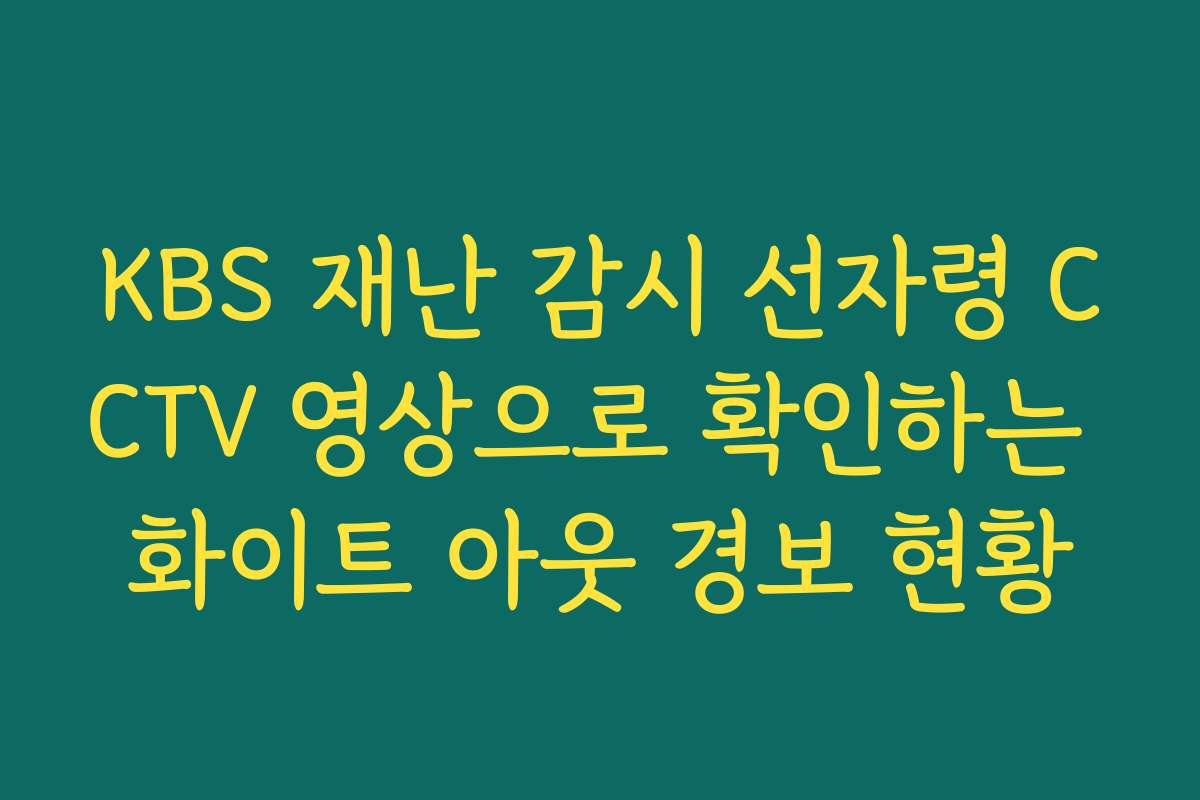KBS 재난 감시 선자령 CCTV 영상으로 확인하는 화이트 아웃 경보 현황