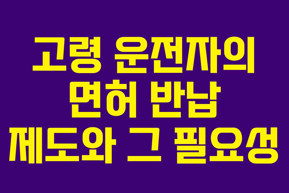 고령 운전자의 면허 반납 제도와 그 필요성
