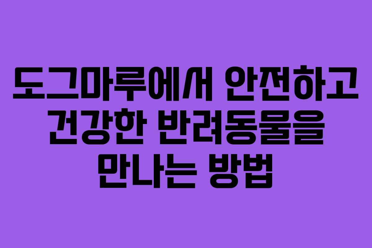도그마루에서 안전하고 건강한 반려동물을 만나는 방법
