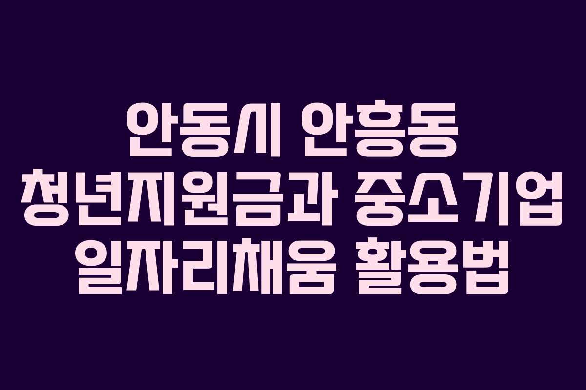 안동시 안흥동 청년지원금과 중소기업 일자리채움 활용법