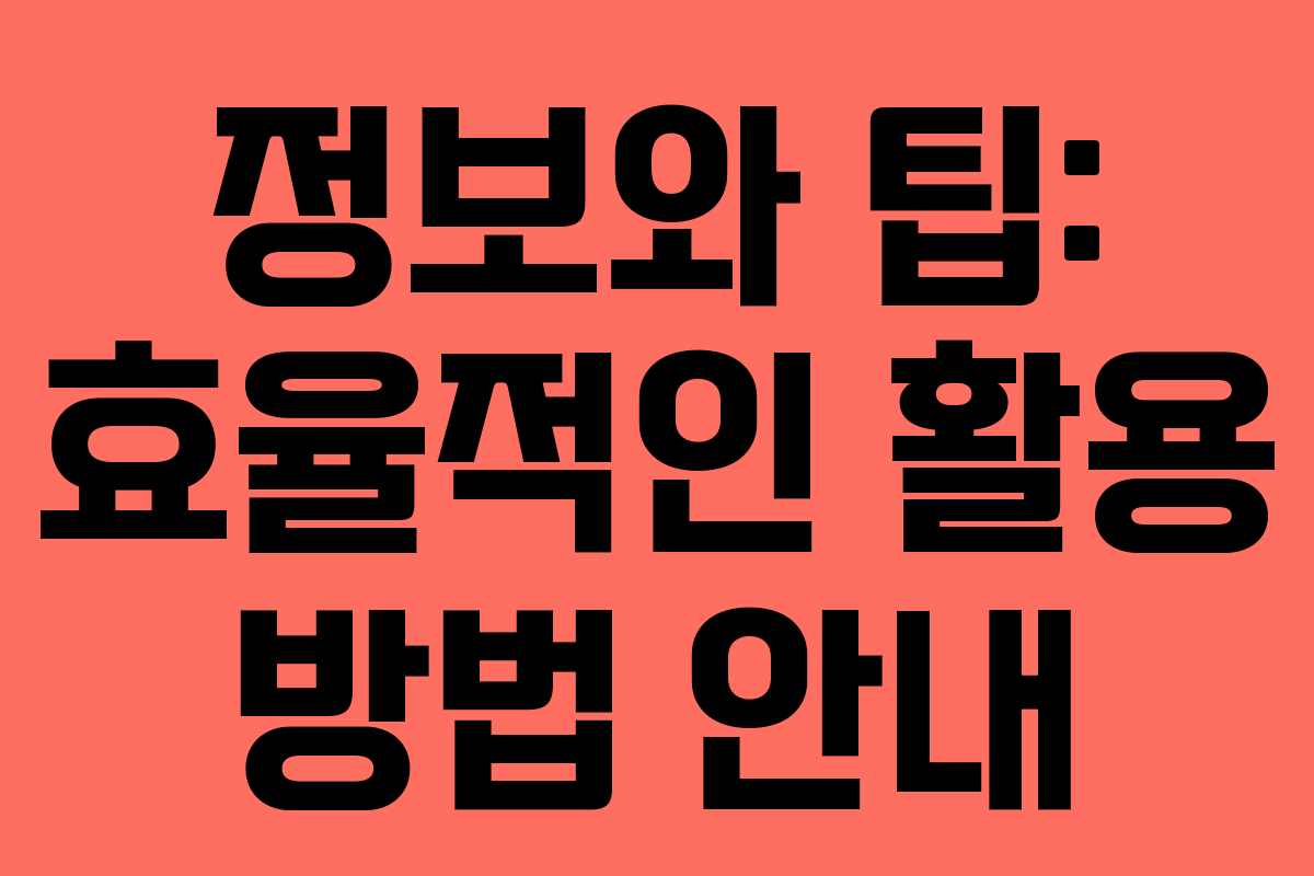 정보와 팁: 효율적인 활용 방법 안내
