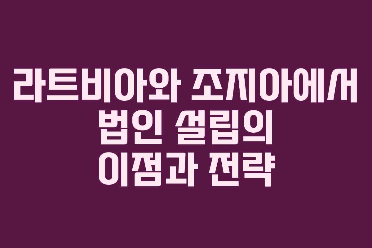 라트비아와 조지아에서 법인 설립의 이점과 전략