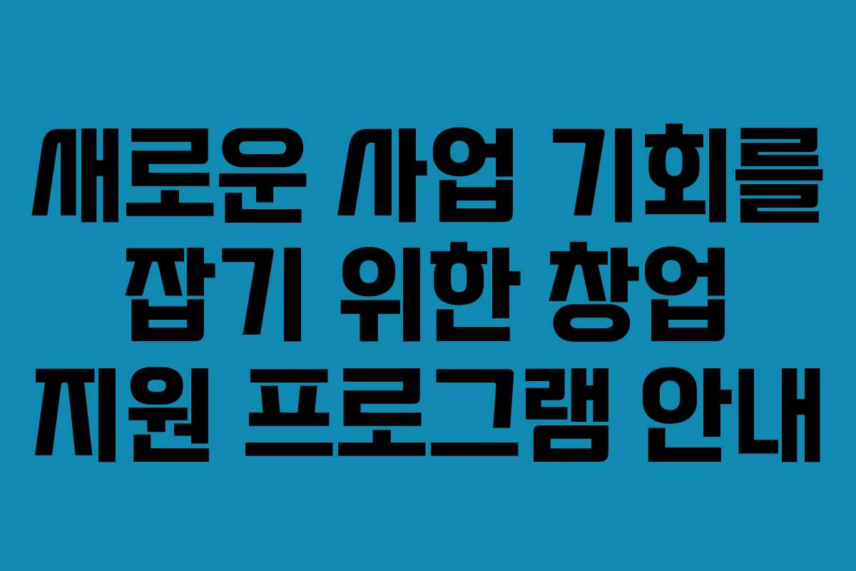 새로운 사업 기회를 잡기 위한 창업 지원 프로그램 안내