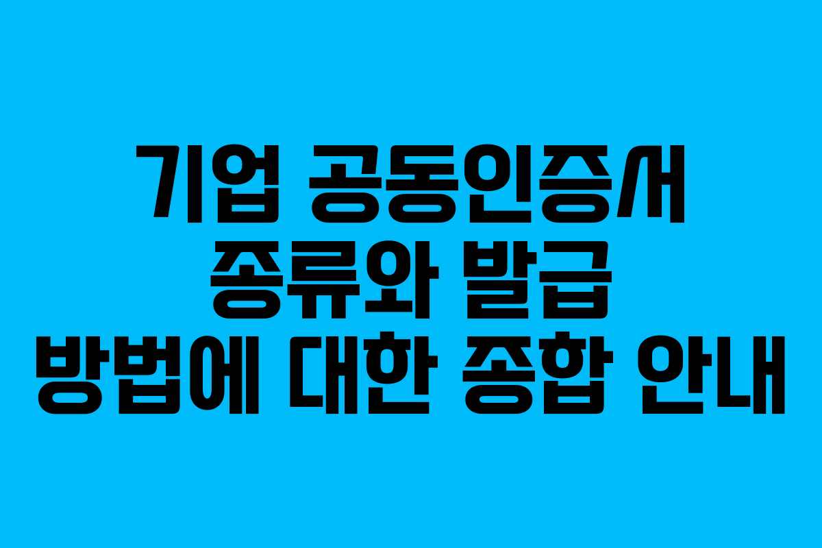 기업 공동인증서 종류와 발급 방법에 대한 종합 안내