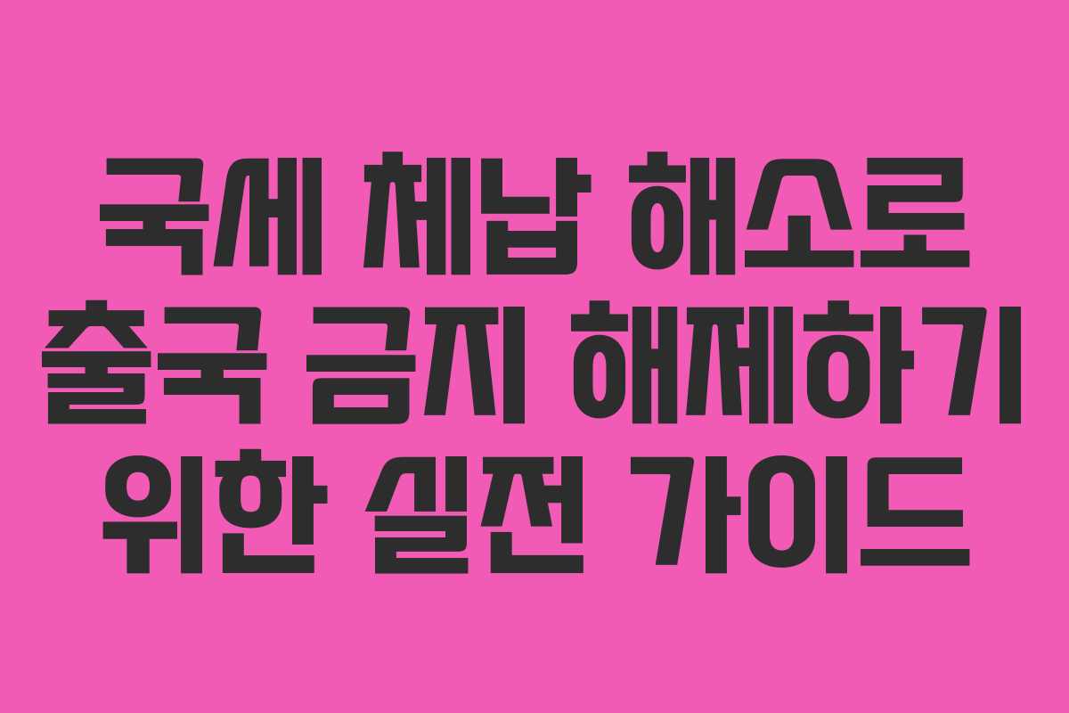국세 체납 해소로 출국 금지 해제하기 위한 실전 가이드