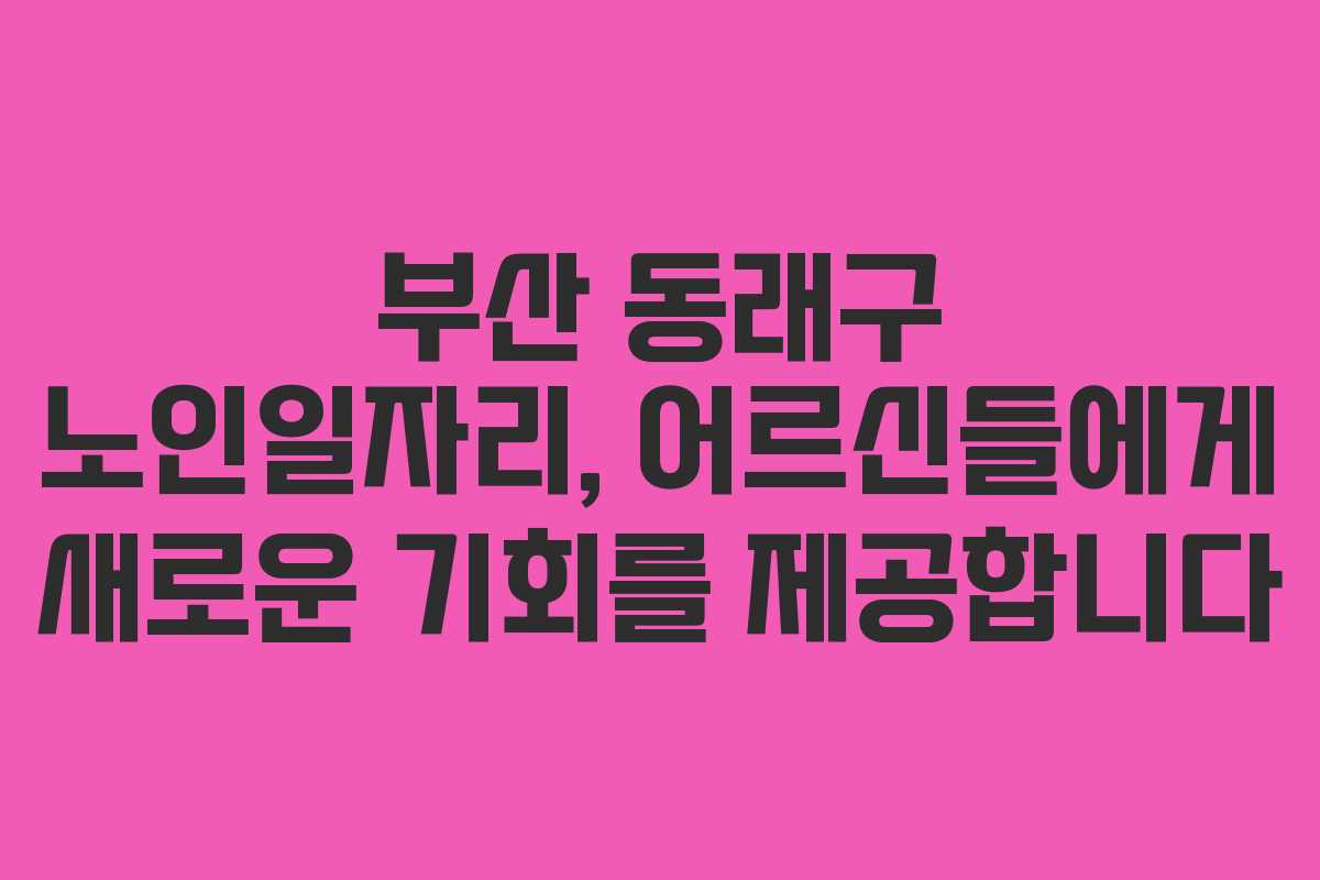 부산 동래구 노인일자리, 어르신들에게 새로운 기회를 제공합니다