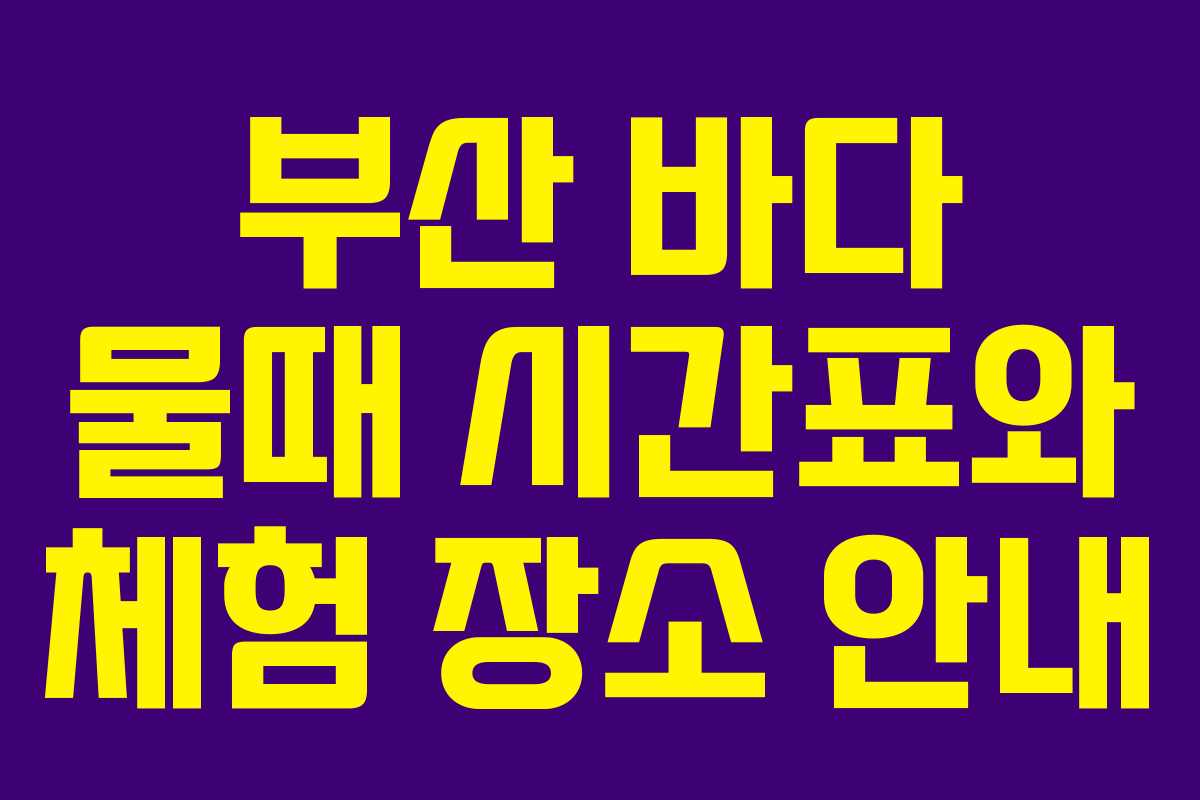 부산 바다 물때 시간표와 체험 장소 안내