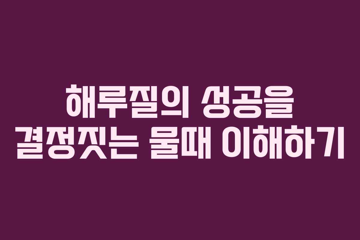 해루질의 성공을 결정짓는 물때 이해하기