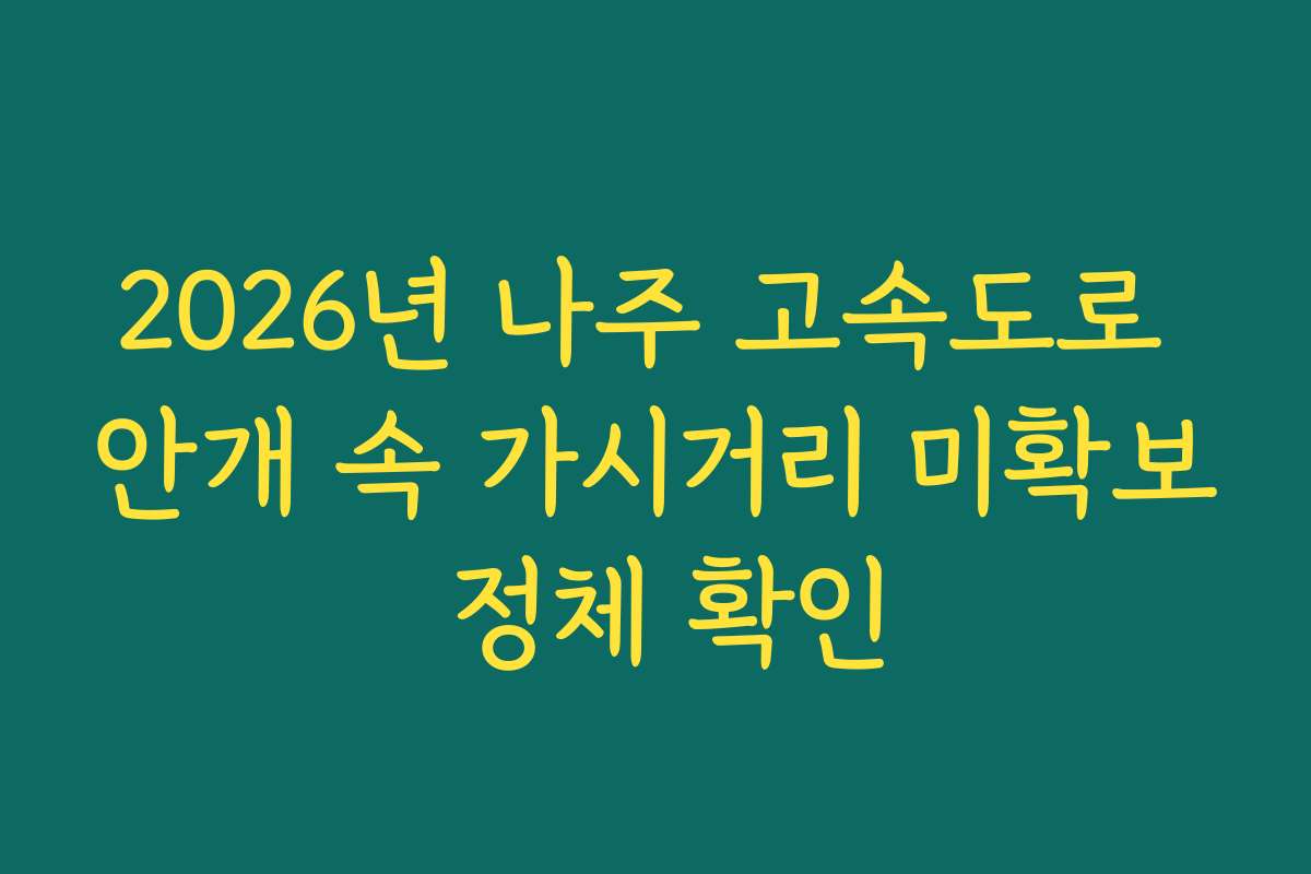 2026년 나주 고속도로 안개 속 가시거리 미확보 정체 확인