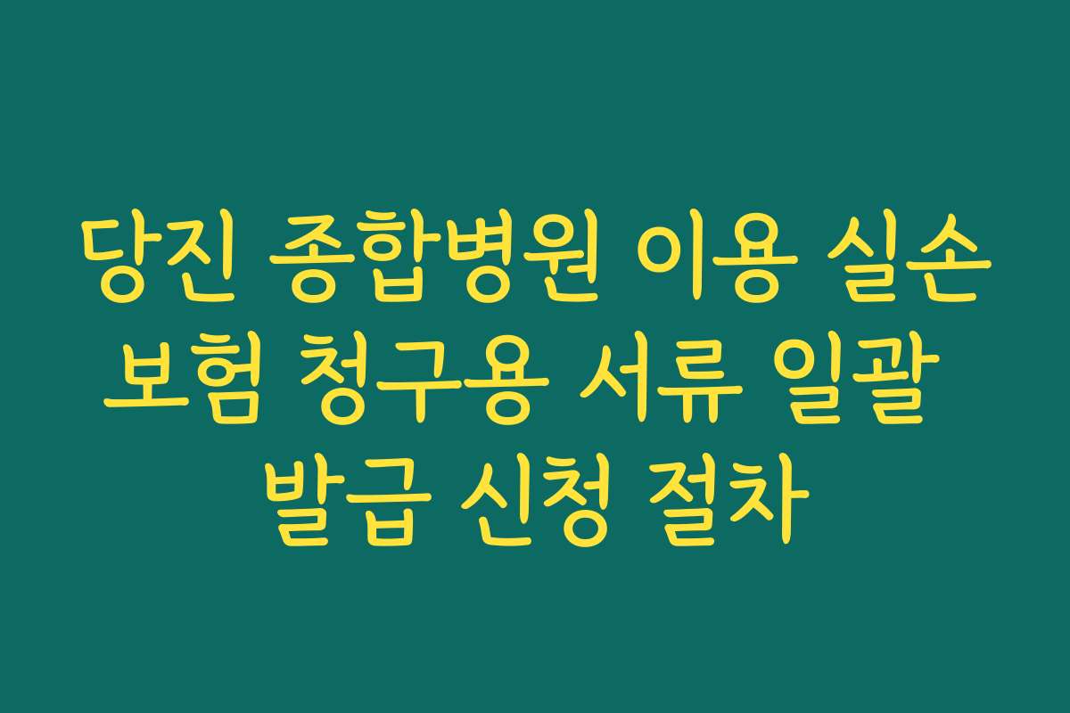 당진 종합병원 이용 실손보험 청구용 서류 일괄 발급 신청 절차