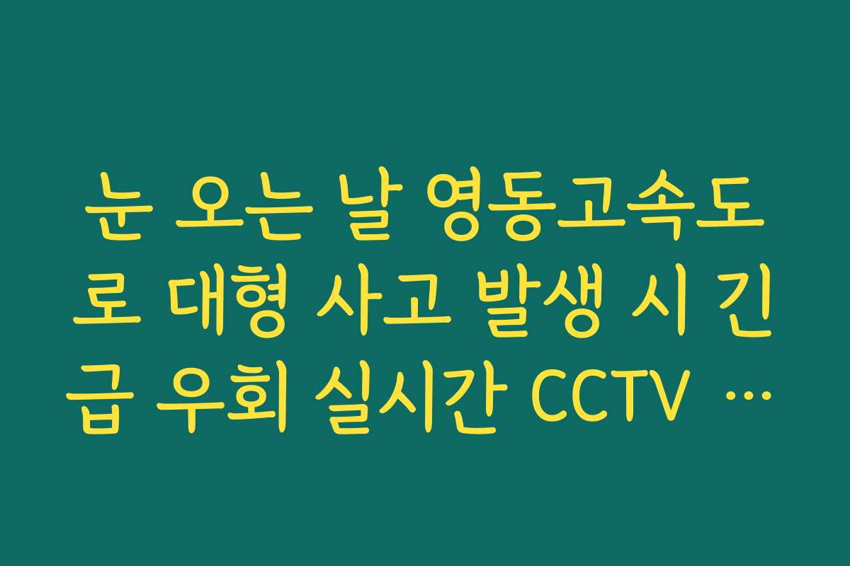 눈 오는 날 영동고속도로 대형 사고 발생 시 긴급 우회 실시간 CCTV 확인