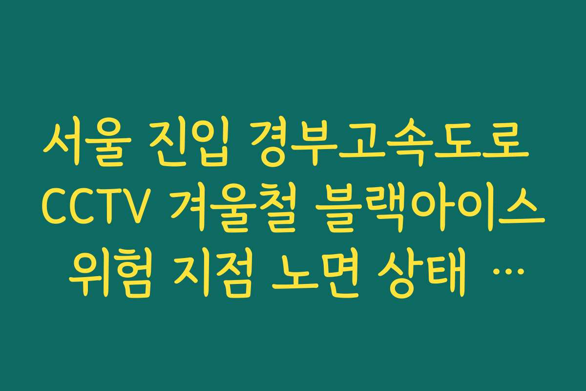 서울 진입 경부고속도로 CCTV 겨울철 블랙아이스 위험 지점 노면 상태 체크