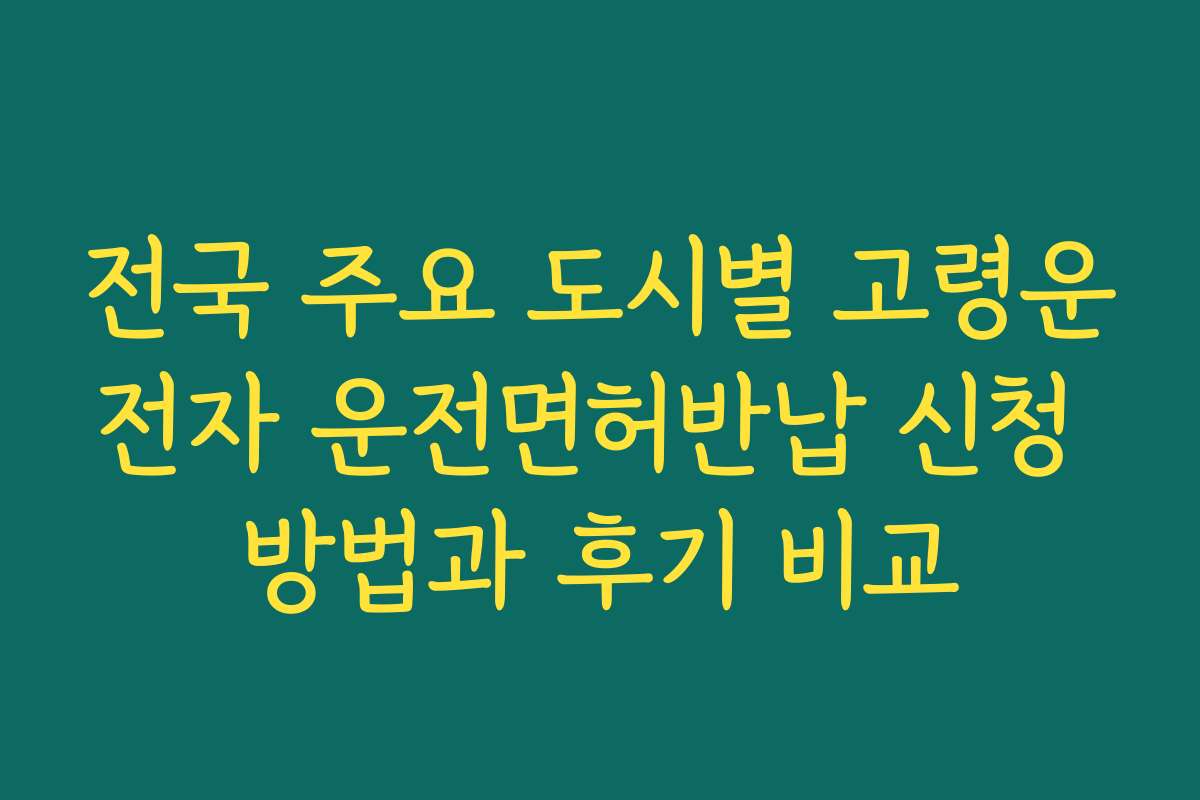 전국 주요 도시별 고령운전자 운전면허반납 신청 방법과 후기 비교