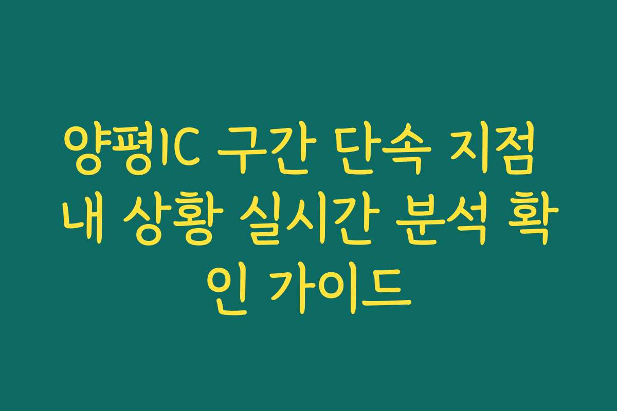양평IC 구간 단속 지점 내 상황 실시간 분석 확인 가이드