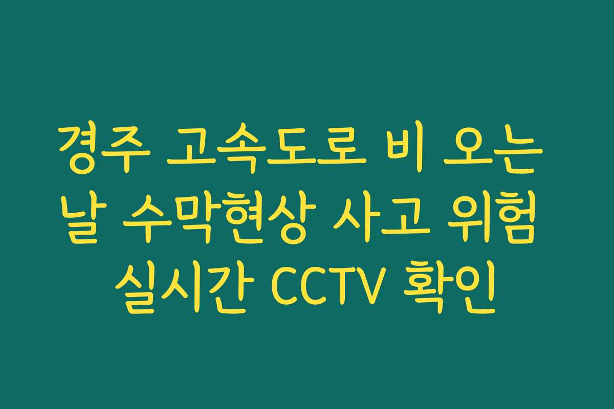 경주 고속도로 비 오는 날 수막현상 사고 위험 실시간 CCTV 확인