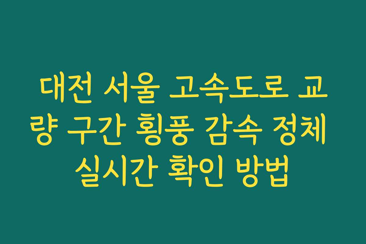 대전 서울 고속도로 교량 구간 횡풍 감속 정체 실시간 확인 방법