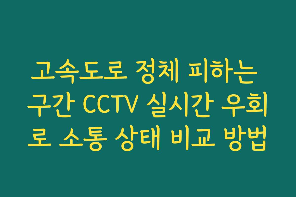 고속도로 정체 피하는 구간 CCTV 실시간 우회로 소통 상태 비교 방법