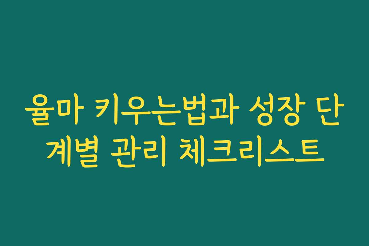 율마 키우는법과 성장 단계별 관리 체크리스트