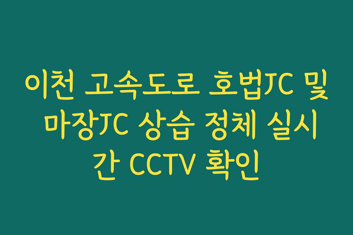 이천 고속도로 호법JC 및 마장JC 상습 정체 실시간 CCTV 확인