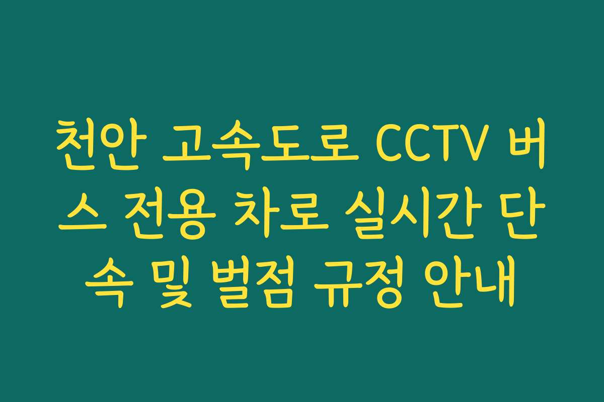 천안 고속도로 CCTV 버스 전용 차로 실시간 단속 및 벌점 규정 안내