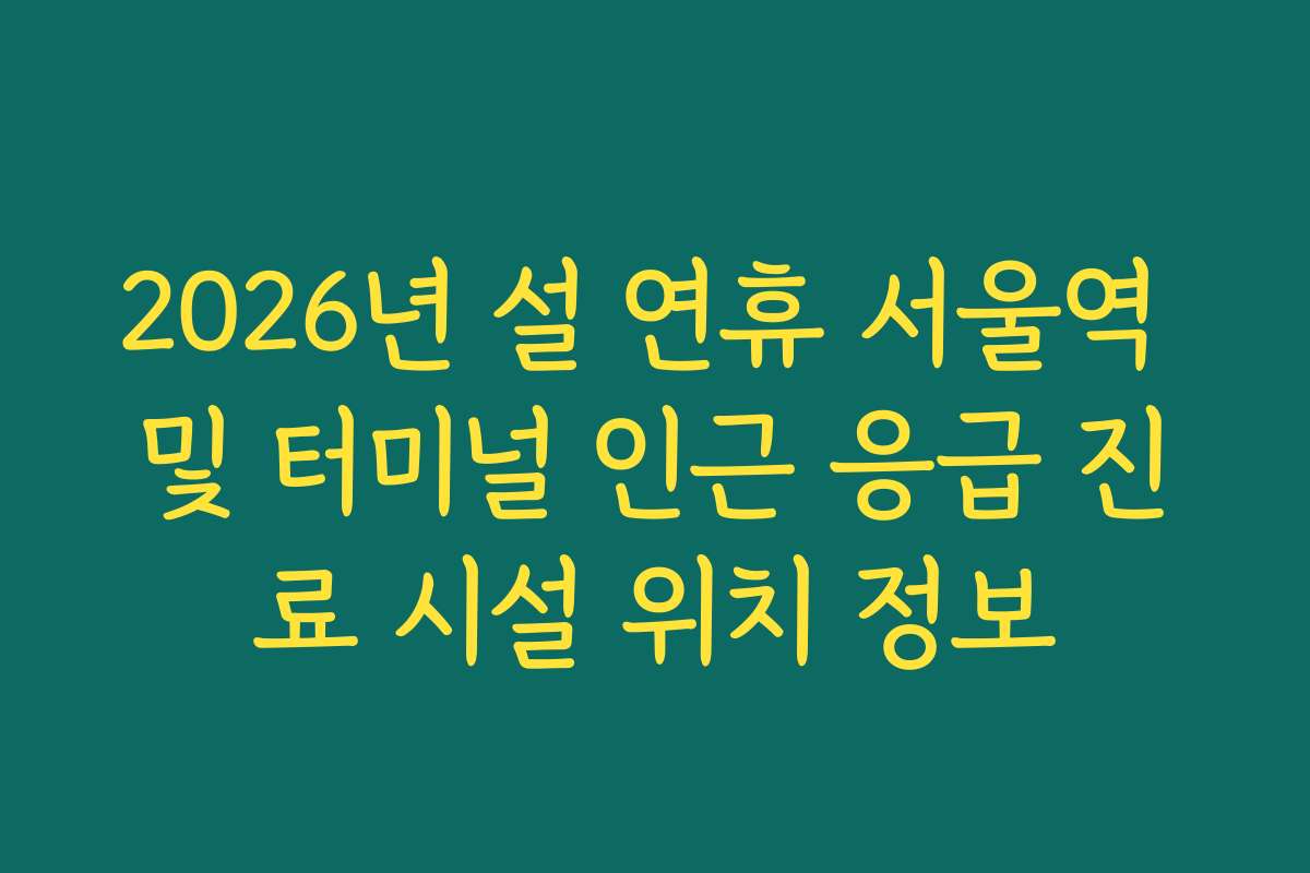2026년 설 연휴 서울역 및 터미널 인근 응급 진료 시설 위치 정보