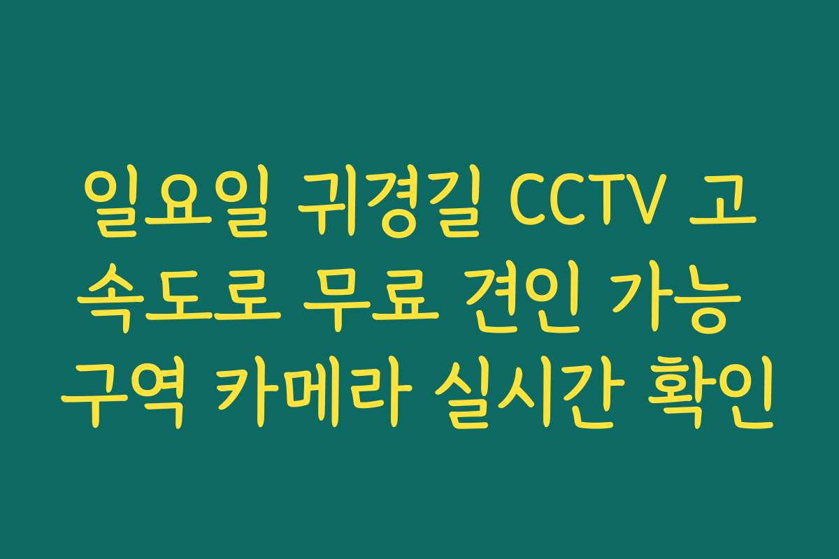 일요일 귀경길 CCTV 고속도로 무료 견인 가능 구역 카메라 실시간 확인
