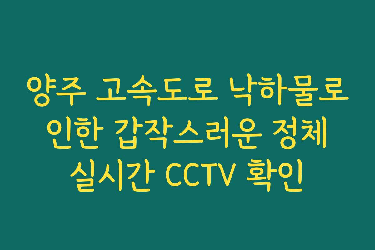 양주 고속도로 낙하물로 인한 갑작스러운 정체 실시간 CCTV 확인