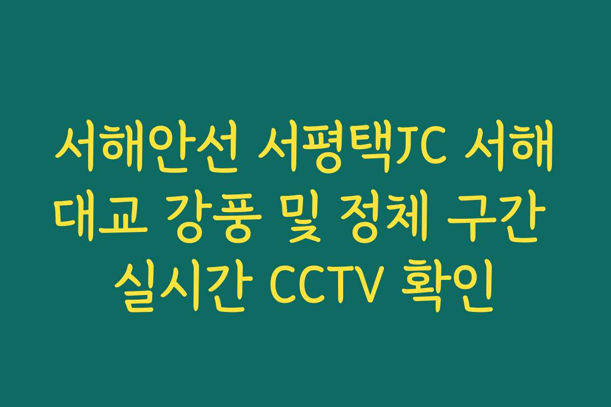 서해안선 서평택JC 서해대교 강풍 및 정체 구간 실시간 CCTV 확인
