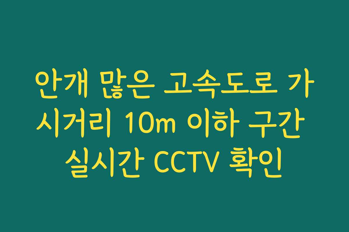 안개 많은 고속도로 가시거리 10m 이하 구간 실시간 CCTV 확인