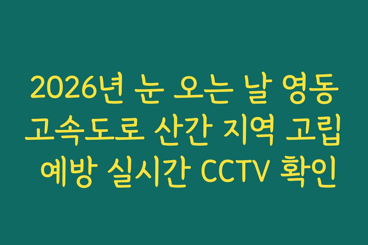 2026년 눈 오는 날 영동고속도로 산간 지역 고립 예방 실시간 CCTV 확인