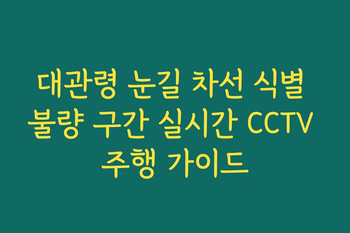 대관령 눈길 차선 식별 불량 구간 실시간 CCTV 주행 가이드