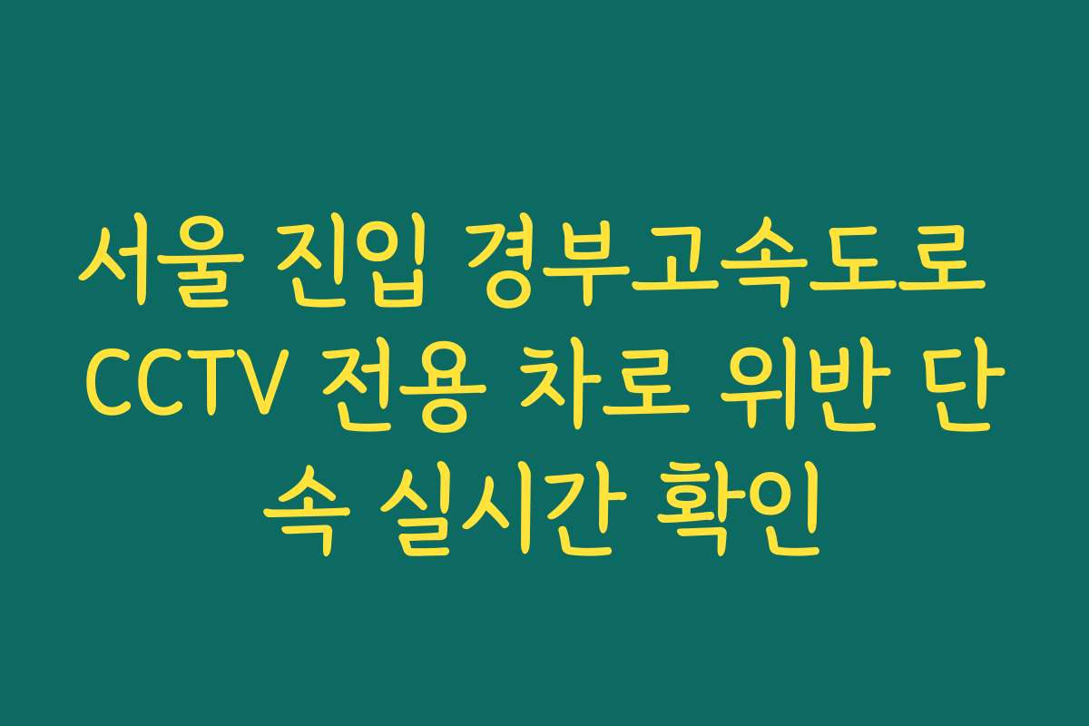 서울 진입 경부고속도로 CCTV 전용 차로 위반 단속 실시간 확인