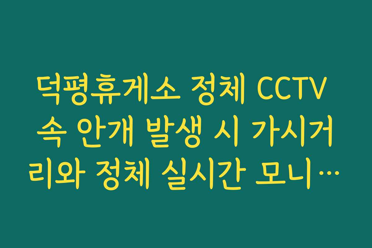 덕평휴게소 정체 CCTV 속 안개 발생 시 가시거리와 정체 실시간 모니터링