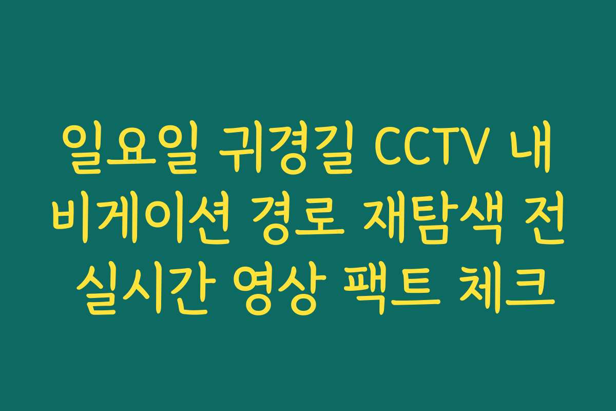 일요일 귀경길 CCTV 내비게이션 경로 재탐색 전 실시간 영상 팩트 체크