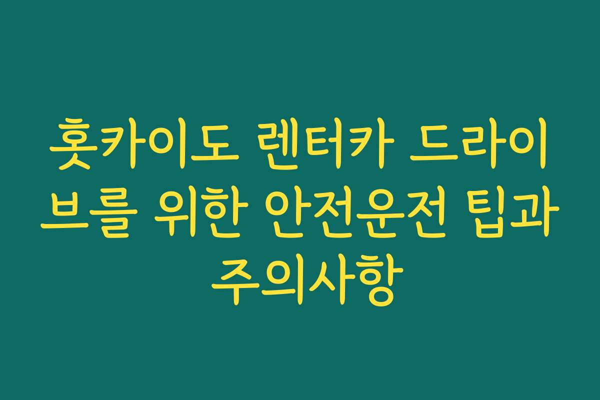 홋카이도 렌터카 드라이브를 위한 안전운전 팁과 주의사항