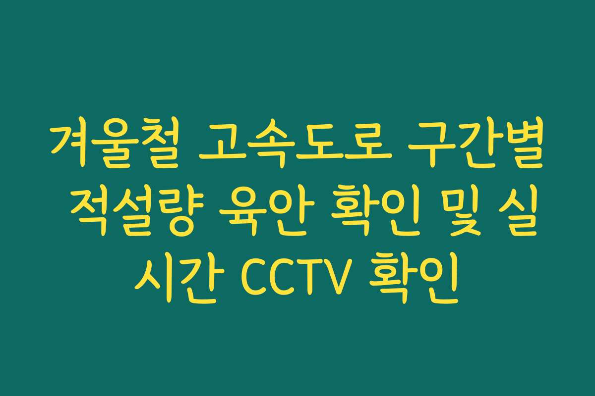 겨울철 고속도로 구간별 적설량 육안 확인 및 실시간 CCTV 확인