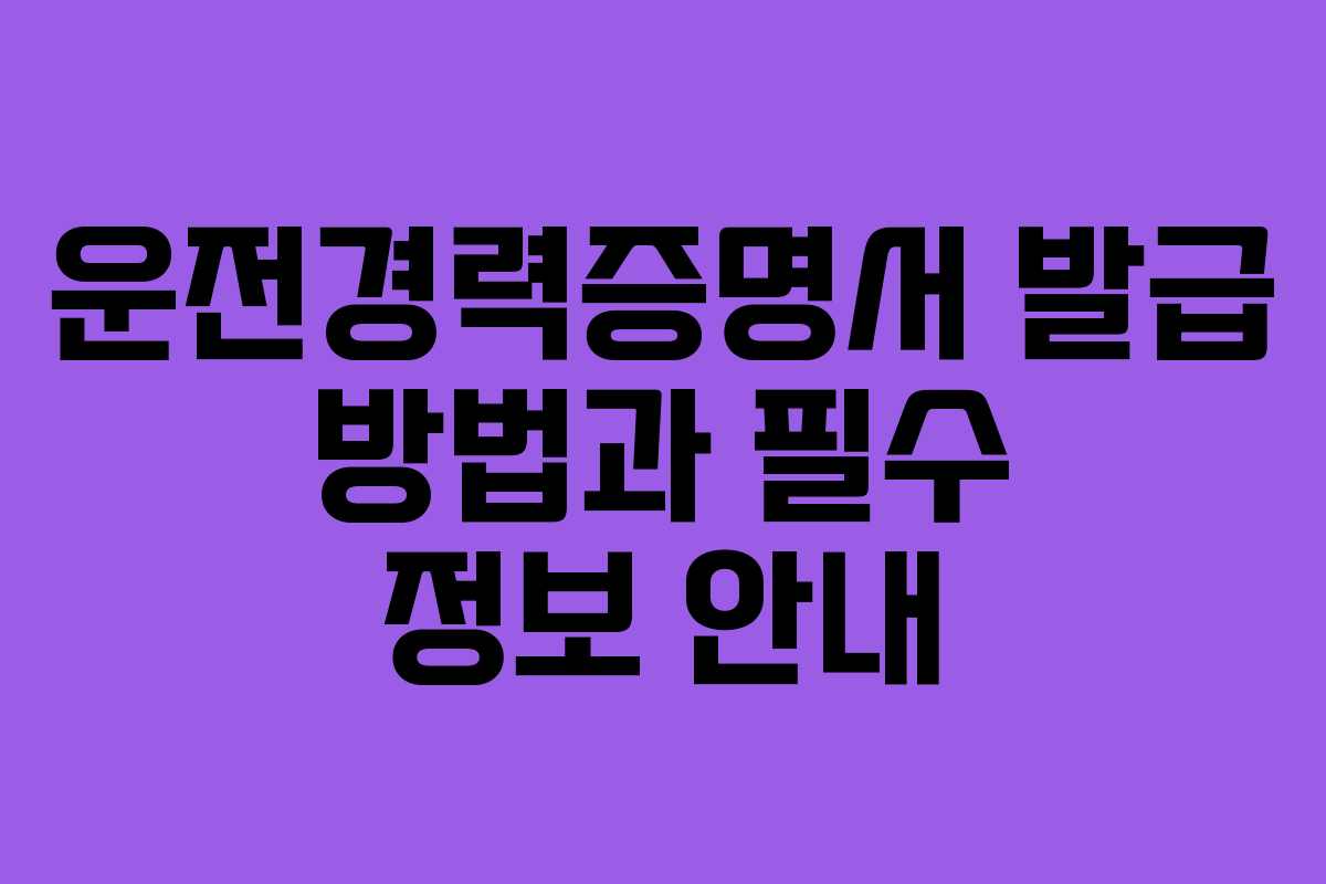 운전경력증명서 발급 방법과 필수 정보 안내