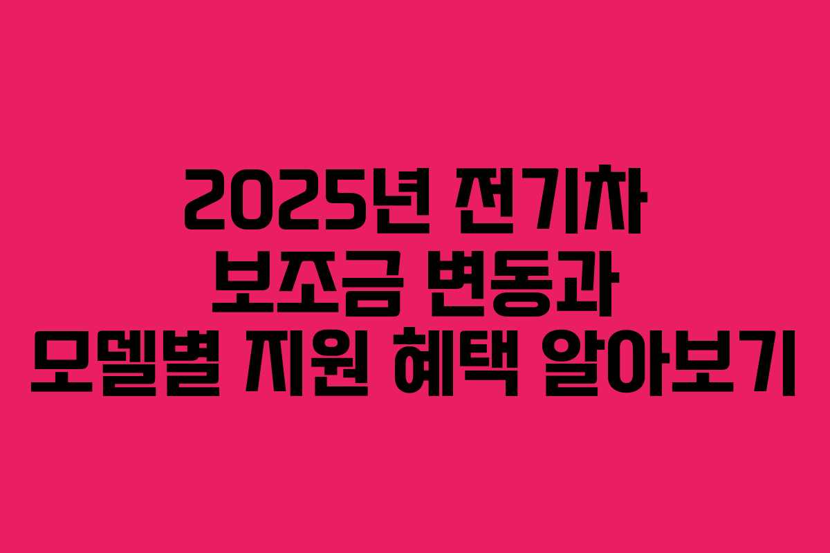 2025년 전기차 보조금 변동과 모델별 지원 혜택 알아보기